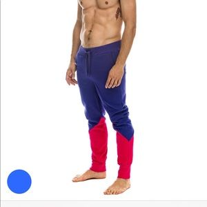 Aviator nation large sweatpants